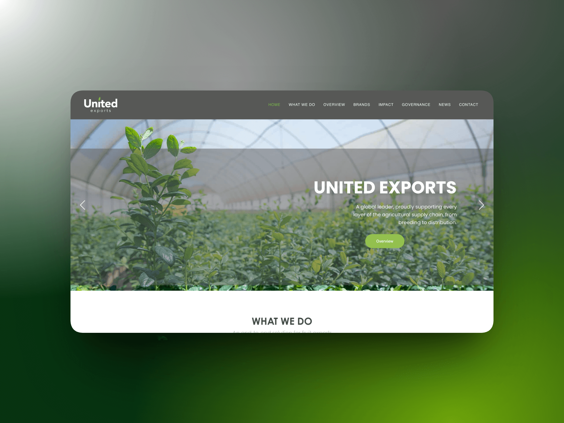 United Exports